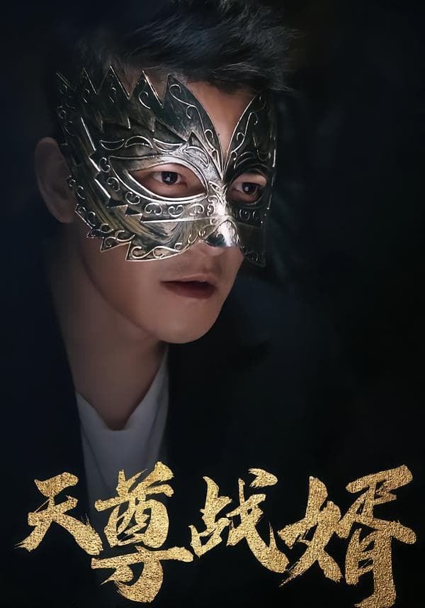 天尊战婿
