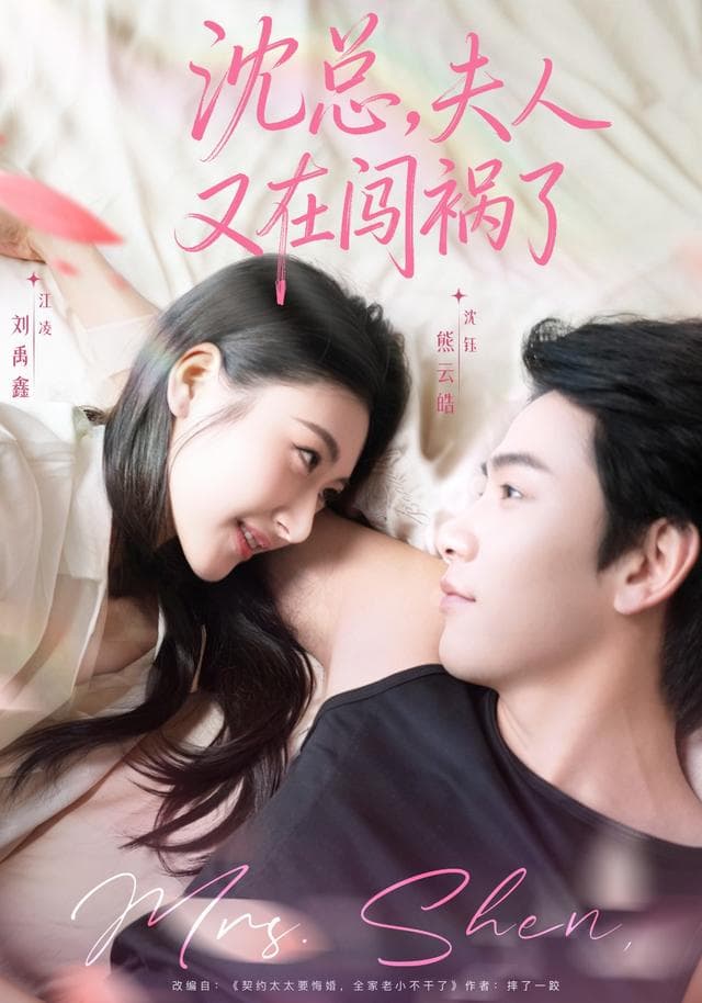 沈总,夫人又在闯祸了