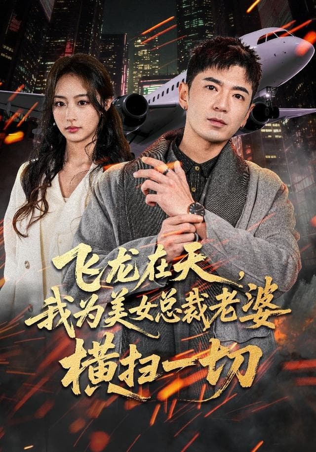 飞龙在天,我为美女总裁老婆横扫一切