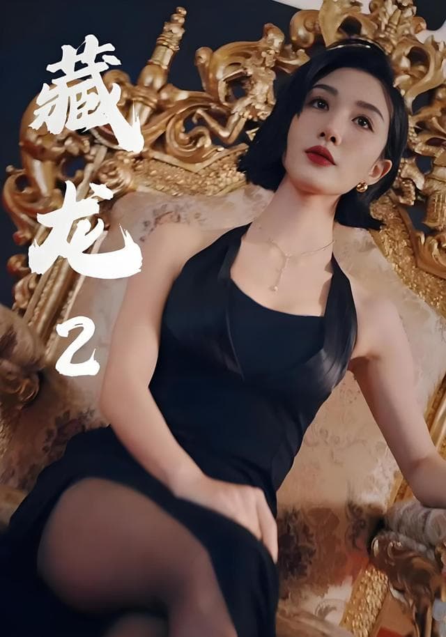 藏龙2