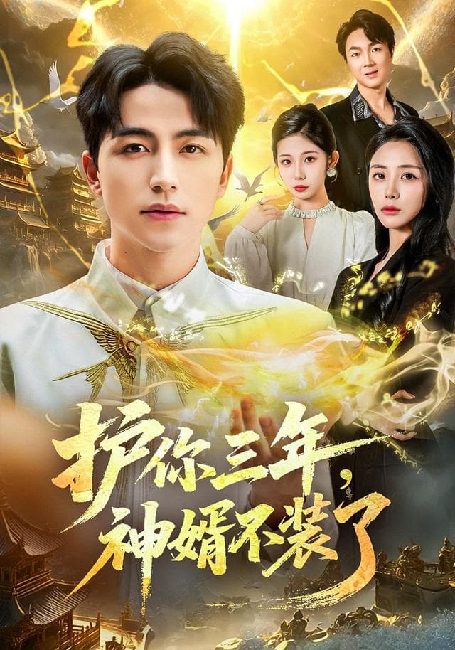 护你三年,神婿不装了