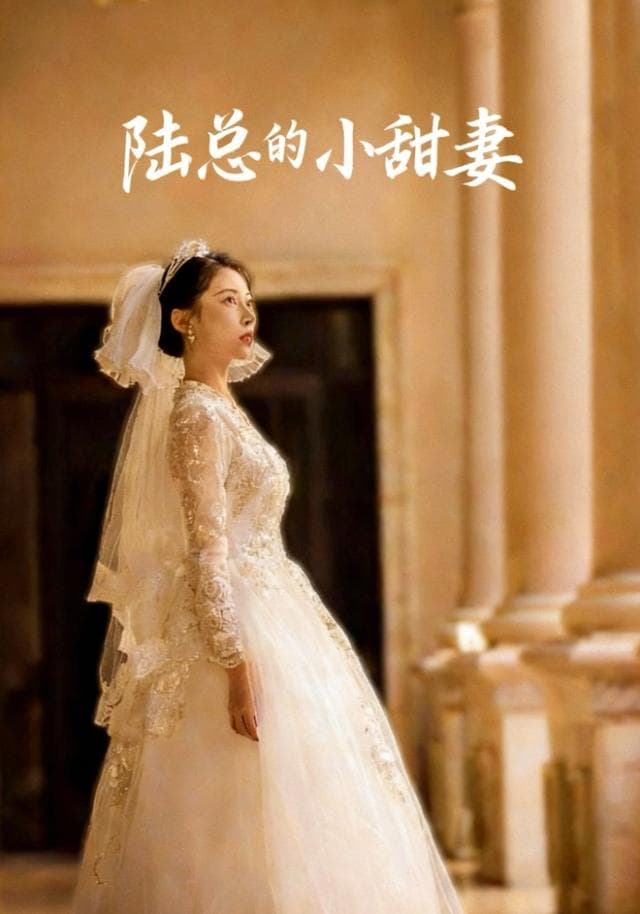 陆总的小甜妻