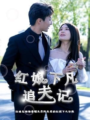 红娘下凡追夫记