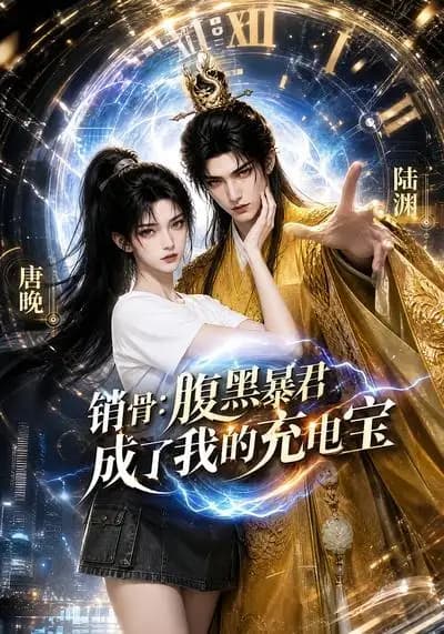 销骨:腹黑暴君成了我的充电宝